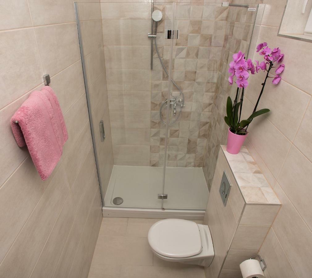 Apartment Branka *